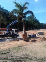 /album/andamento-da-obra/a10501940-271727879678588-5891440285868486724-n-jpg/
