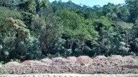 /album/andamento-da-obra/a10565267-290923494425693-4624469627143912468-n-jpg/